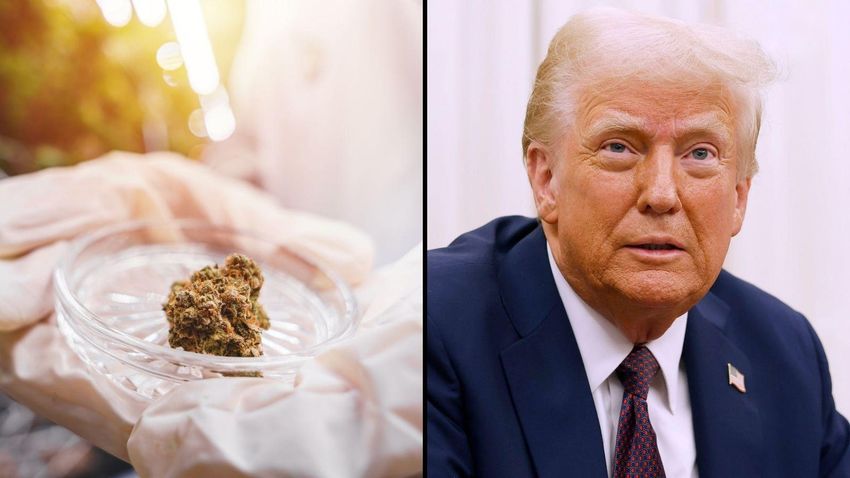  ‘Big Business Opportunity’: Cannabis CEO Celebrates DOJ Easing Regulations On Medical Marijuana