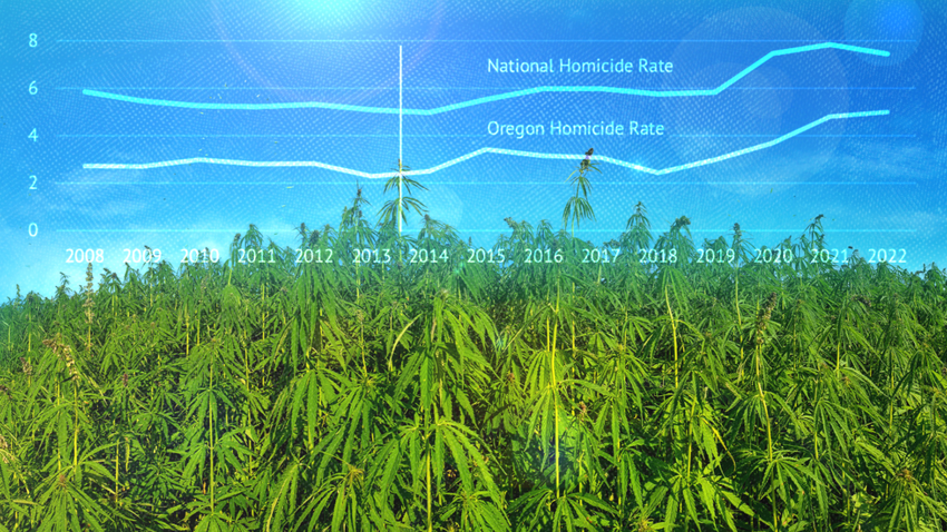  3 Disasters That Legal Weed Didn’t Unleash—Despite the Forecasts