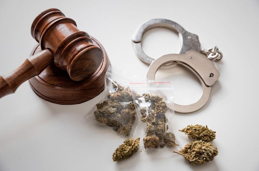  Weed Arrests Fall Nationwide, But Gaps Persist