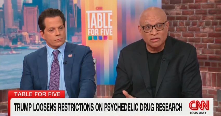  Trump Critic Larry Wilmore Offers Rare ‘Credit’ to President on CNN Over Marijuana Move