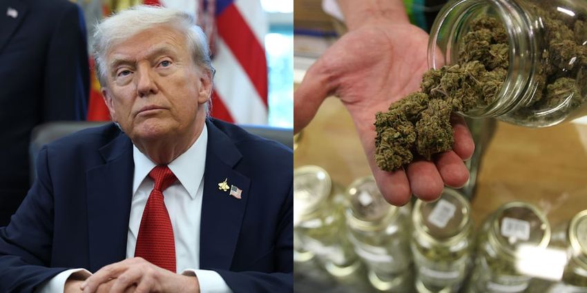 Trump DOJ Reclassifies Medical Marijuana to Less Dangerous Category, Major Policy Shift Announced