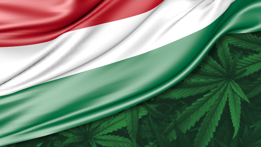  A Path Forward for Cannabis Freedom in Hungary?