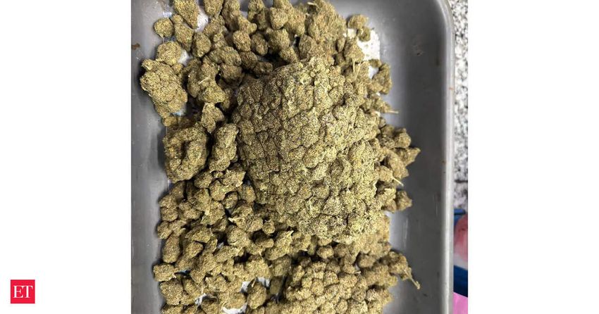  Customs seizes contraband worth Rs 36 lakh at Kolkata Airport