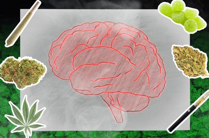  What weed really does to your brain, according to hundreds of thousands of scans
