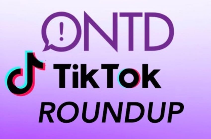  TikTok Roundup: Chonky Sea Lions, 90s Butter Moms, and Arby’s Meat Mountain