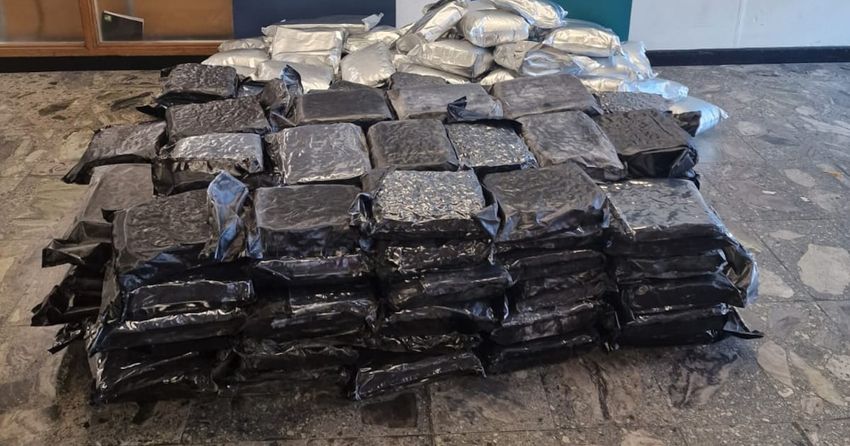  More than €6 million in cannabis and opioids seized in Clare, Dublin