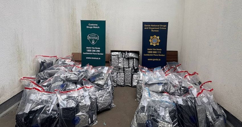  Four arrested as cannabis worth ‘more than €5m’ seized