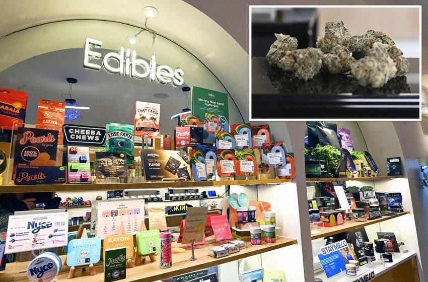 New York’s legal weed sales top $5M a day — but illegal market could be 10 times larger