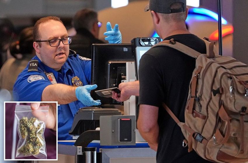  TSA quietly starts letting passengers bring their weed on planes — with a big catch