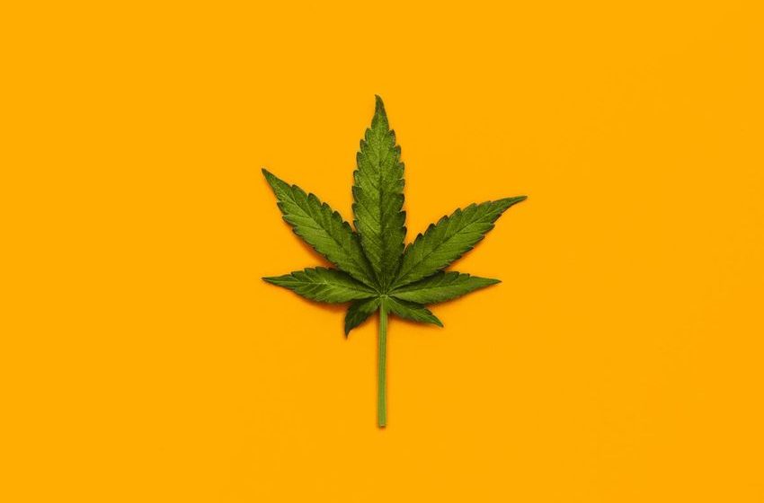  What we know—and what we don’t—about marijuana’s health effects