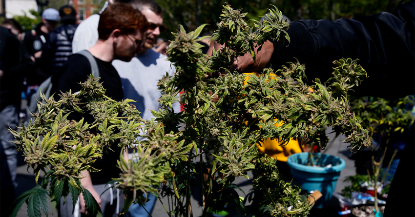  10 facts about Americans and marijuana