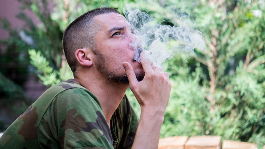  House-Approved Funding Bill Provides Medical Cannabis Access for Veterans