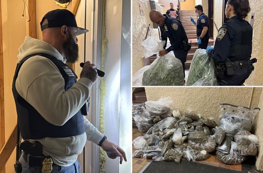  Police enforcing eviction order recover 300 pounds of illegal marijuana in NYC building