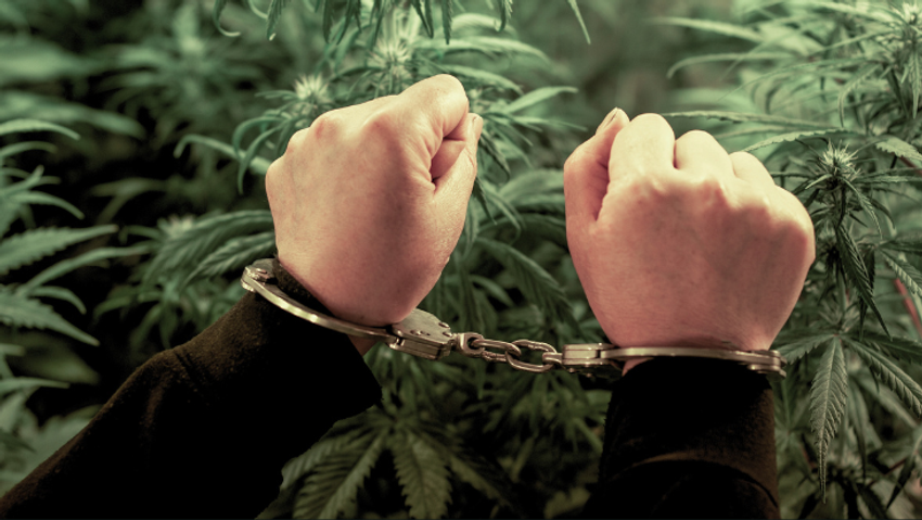  Pew Poll: Marijuana Prohibition Is Increasingly Unpopular Among Americans