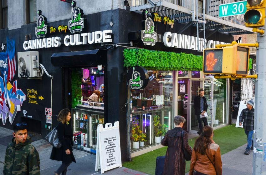 EXCLUSIVE: Cannabis Giants Sued for Marketing Weed as Medicine