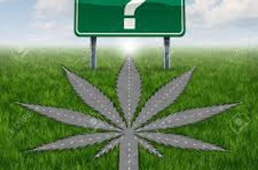  Cannabis in Five Years?
