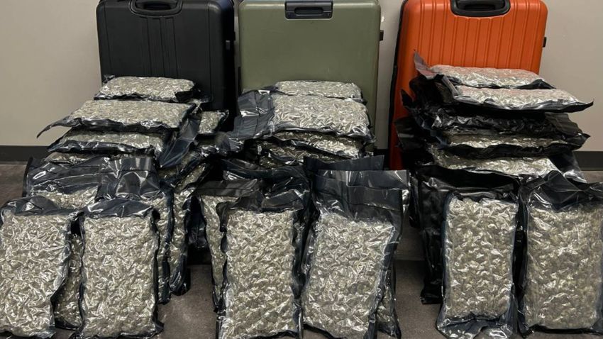  Broken Suitcase Leads To Dallas Police Arresting Woman Charged With Trying To Smuggle 75 Pounds Of Weed On Flight From Las Vegas