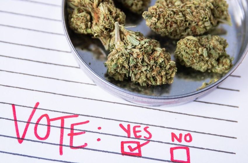  Idaho Medical Marijuana Campaign Submits 150,000 Signatures
