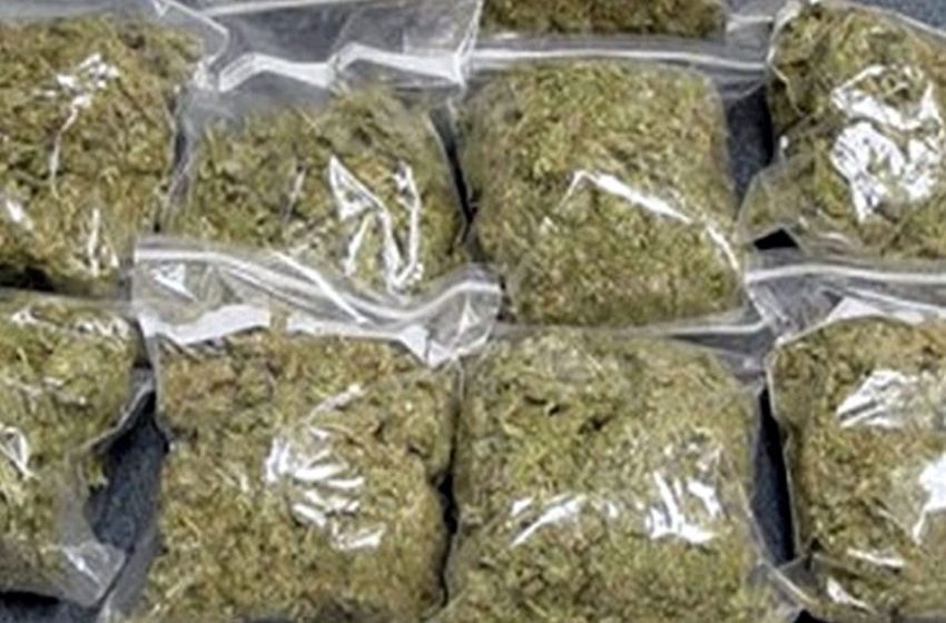  Woman drug peddler held with 3 Kg cannabis in Khatkhati raid