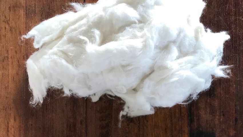  Panda Biotech Supports India’s First Fully Integrated Hemp Fiber-to-Yarn Supply Chain Ecosystem
