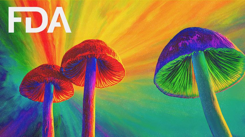  The FDA’s New Psychedelic Rules Are Groovy, but the Agency Is Still a Bad Trip