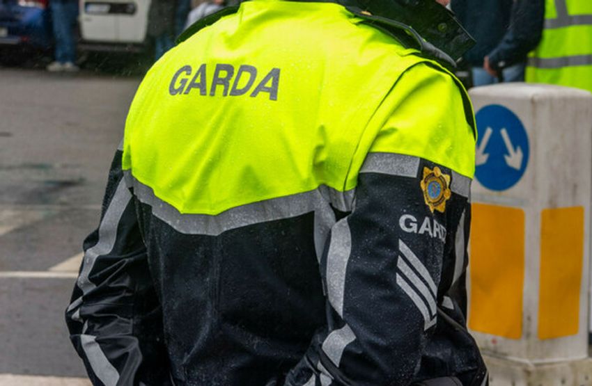  Two men arrested after €1.25m of cannabis seized in separate operations in Dublin and Limerick