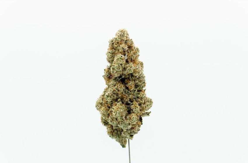  Canopy Growth Relaunches Tweed Brand in Germany with New MTL Cannabis Strain Lineup, Marking First International Release following Acquisition