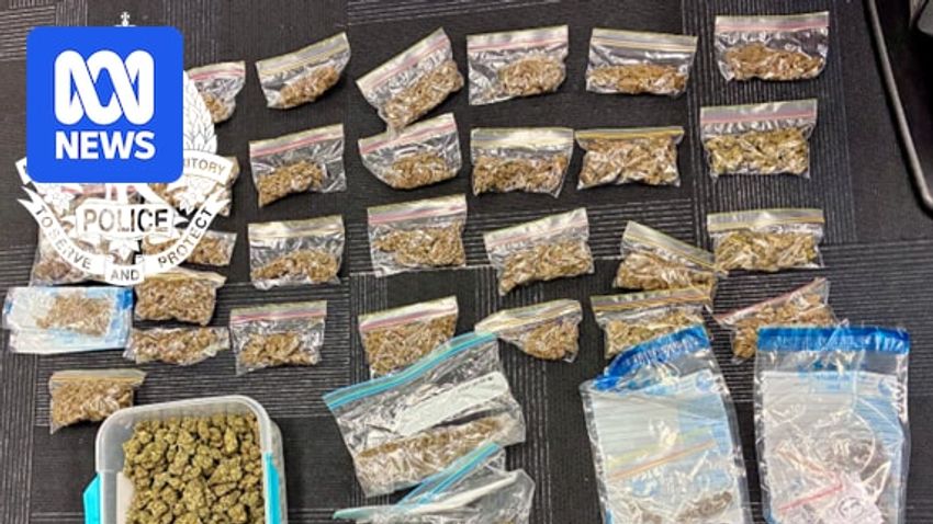  Alleged drug dealer caught after trading cannabis for cat food