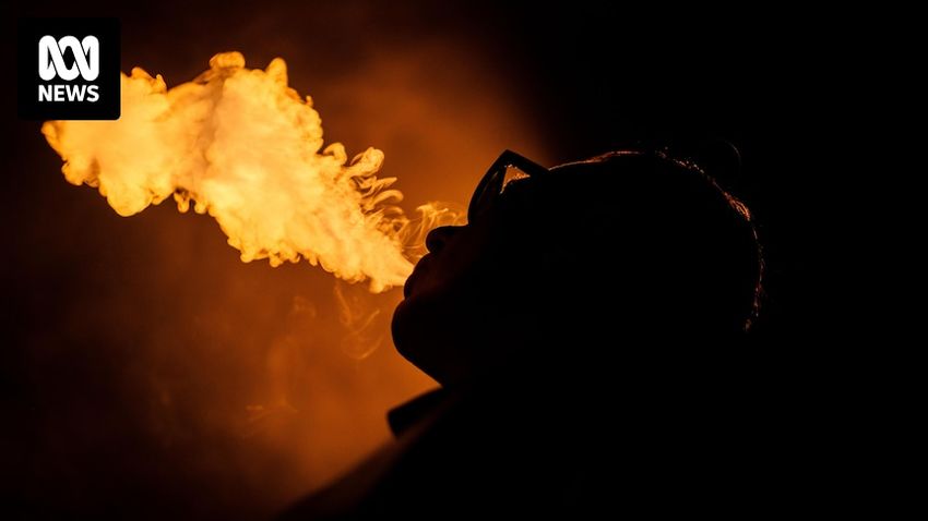  Australian arrested for alleged cannabis vape liquid in Indonesia