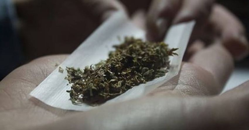  Possession of all drugs for personal use should be decriminalised, committee recommends
