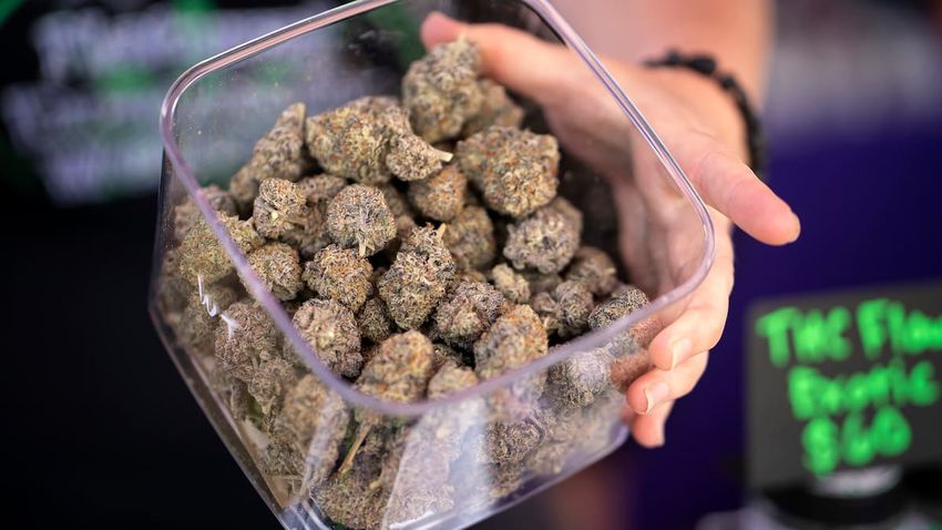  5 ways daily cannabis use can affect your body and mind