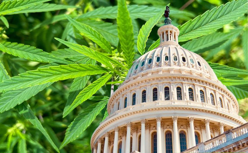  Congress Revives SAFE Banking Bill For Cannabis Businesses
