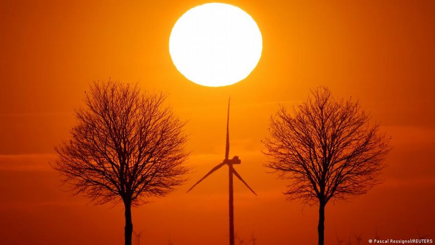  Environment wins of the week