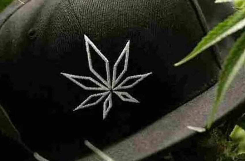  The Role Of CBD In Both Medical And Recreational Marijuana In Buchanan, Michigan