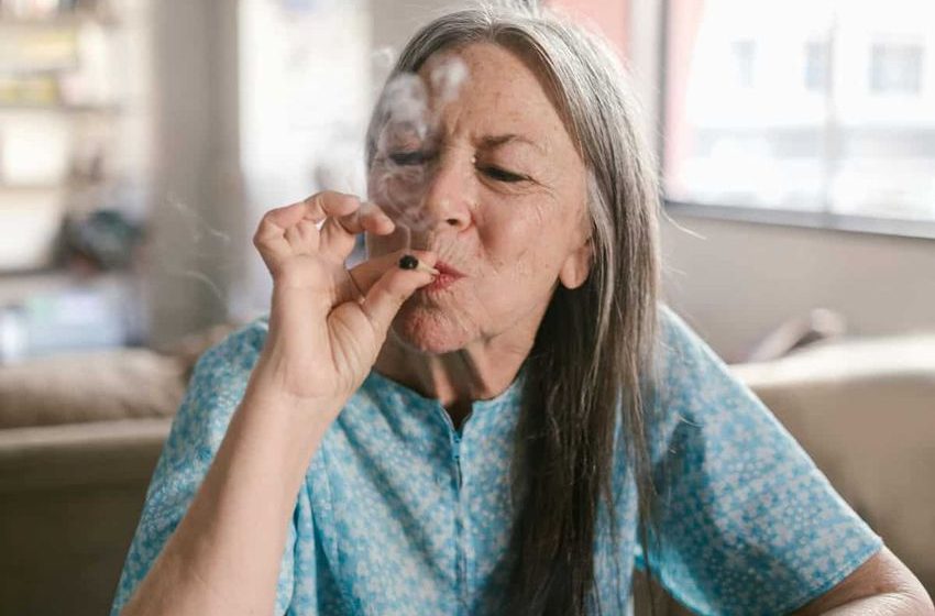  High Hopes: Cannabis Shapes The 40+ Brain In Unexpected Ways (M)