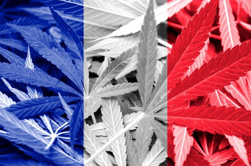  France Health Minister Says Medical Cannabis Regulations Will Be Published in July