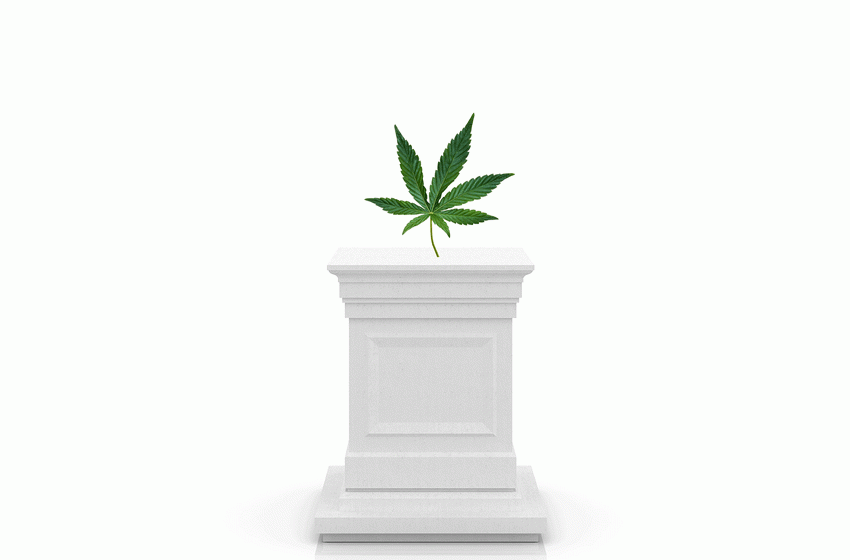  Millennials Like Me Were Sold a Fantasy About Weed. Now Researchers Have a Warning.