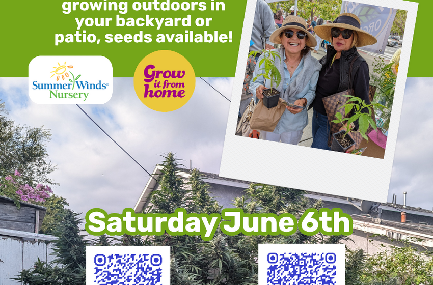  6/6/26: Summerwinds Cupertino: How to Grow Cannabis in the Garden – FREE
