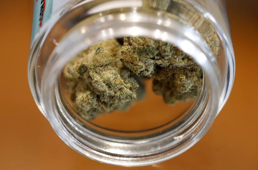  In Santa Cruz, Cannabis Culture Faces Challenges From Increased Regulations