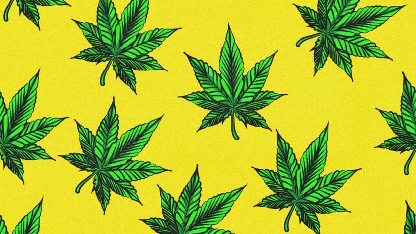  Lawsuit Argues Hawaii’s Harsh New Hemp Regulations Will Stifle Competition
