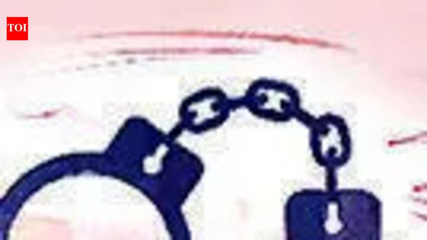  Jhalawar police cracks down on Rs 212 cr drug-linked assets