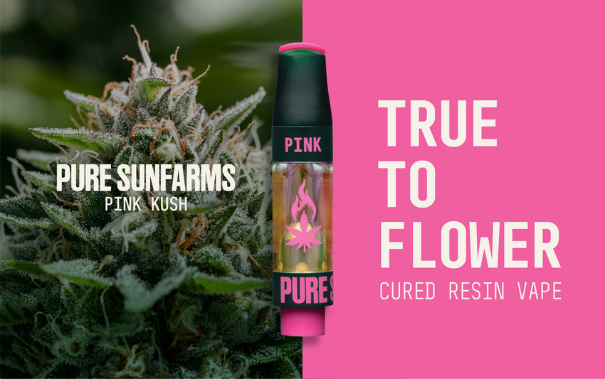  Village Farms Launches Pure Sunfarms Pink Kush Cured Resin Vape