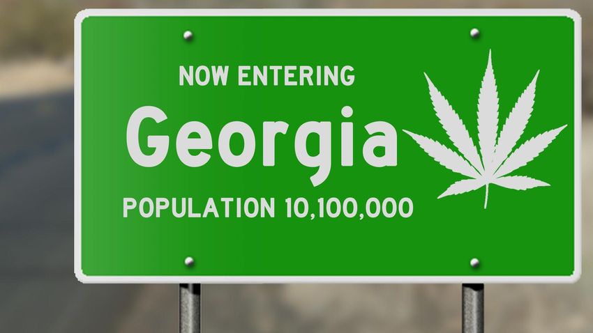  Georgia Medical Cannabis Patient Count Jumps 22% In Two Months