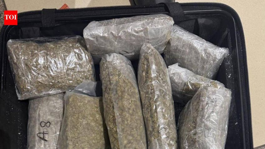  Bangkok returnee arrested with 4.2kg ganja at Ahmedabad airport