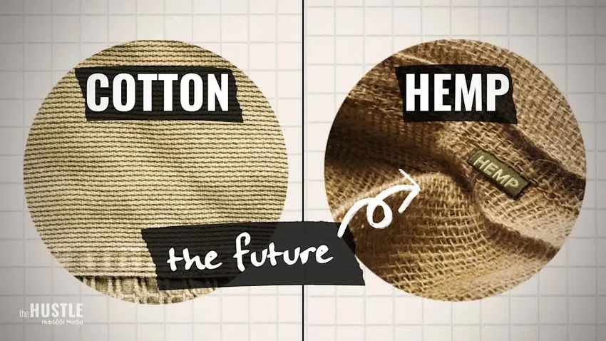  The Real Reason Hemp Hasn’t Replaced Cotton
