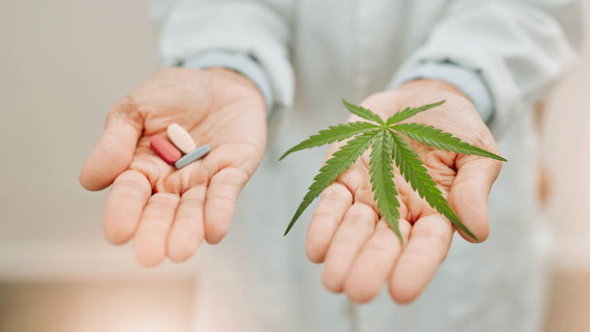  Why I Chose Cannabis Over Opioids
