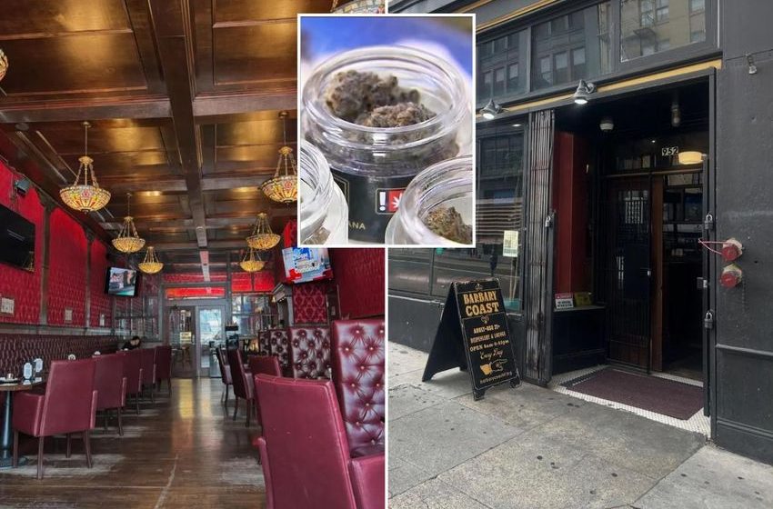  California city makes final ruling on Amsterdam-style cannabis cafes