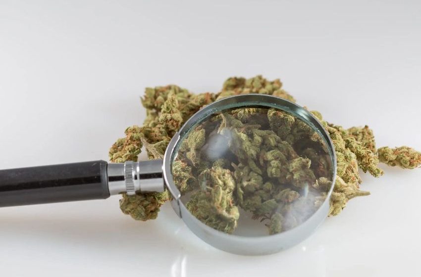  Congressional Committee Approves Bill To Require Federal Health Officials To Track Testing For Marijuana And Other Drugs In Hospital ERs