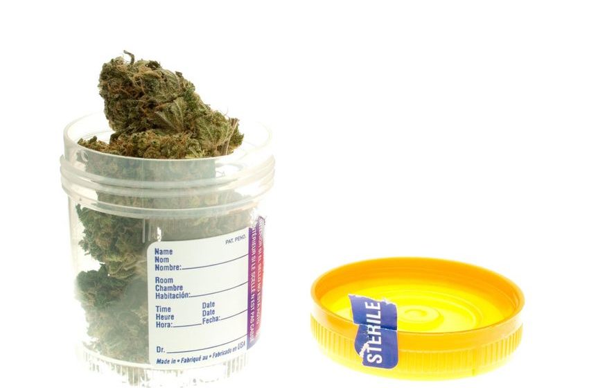  More Employers Drop Marijuana Tests Despite Rising Positive Results