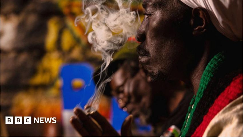  Kenyan court dismisses Rastafarians’ bid to legalise cannabis
